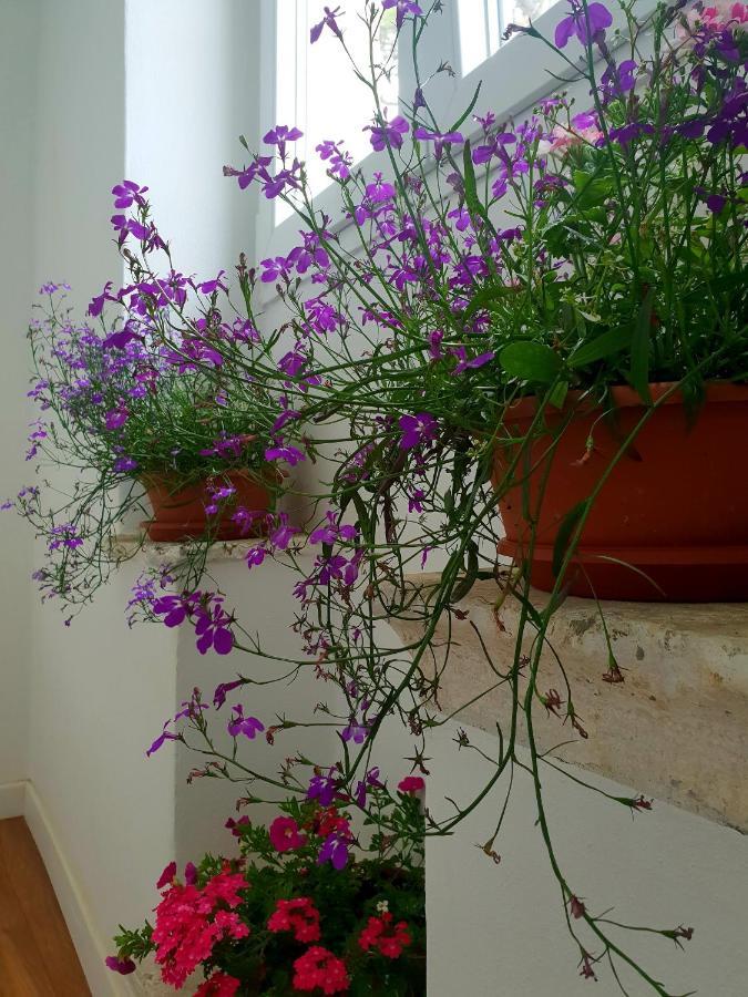 Sorelle Apartment Korčula Exterior foto